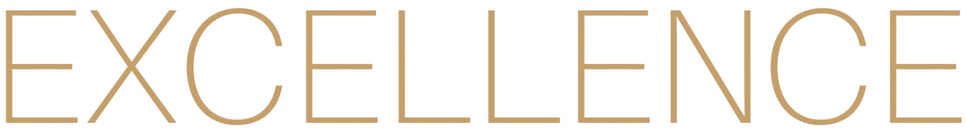 Excellence Banner